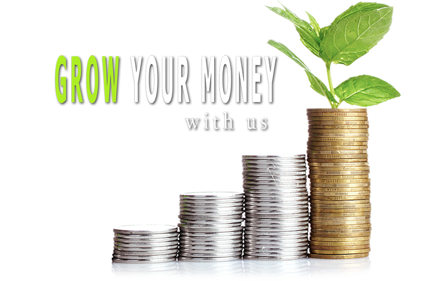 GROW YOUR MONEY75